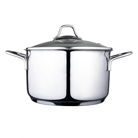Stainless Steel Stock Pot