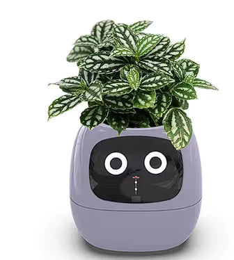 AI Smart Planter